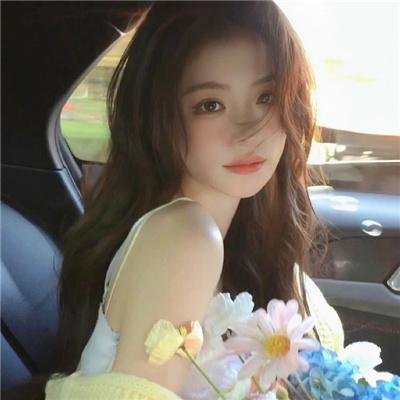 哈兰·科本的庇护所 封面